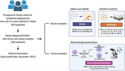 The impact of sMICA/sMICB on immunochemotherapy outcomes in newly diagnosed diffuse large B-cell lymphoma